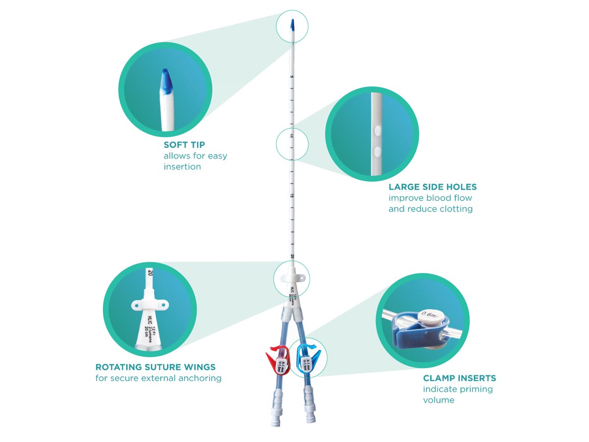 Temporary Hemodialysis Catheter